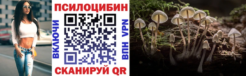 Купить закладки  Белово  Галлюциногенные грибы Cubensis 