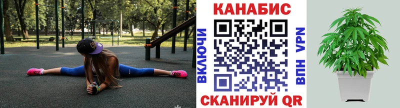 Купить  Белово  Шишки марихуана сатива 